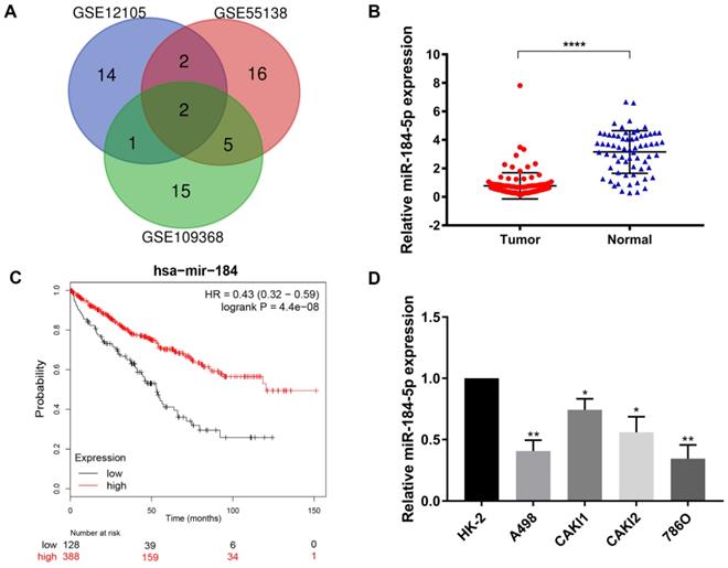 J Cancer Image