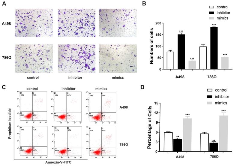 J Cancer Image