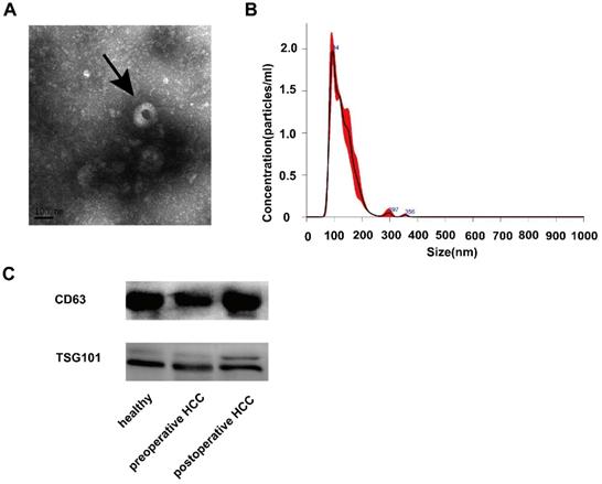 J Cancer Image