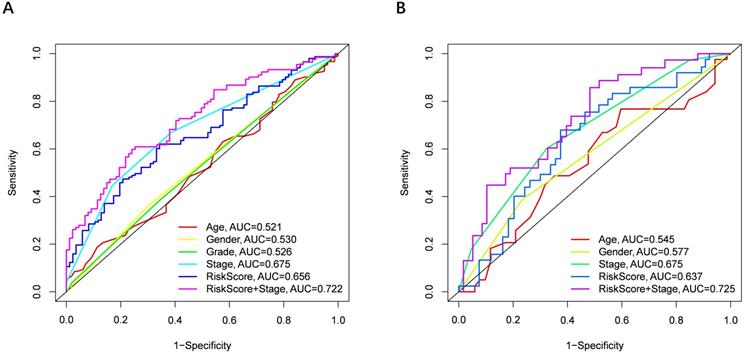 J Cancer Image