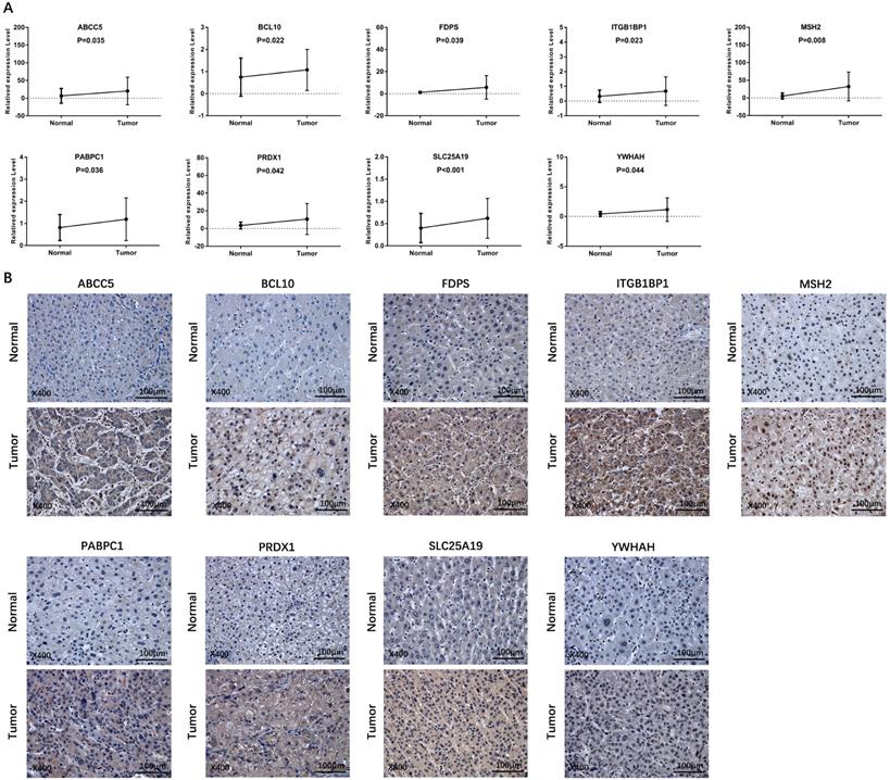 J Cancer Image