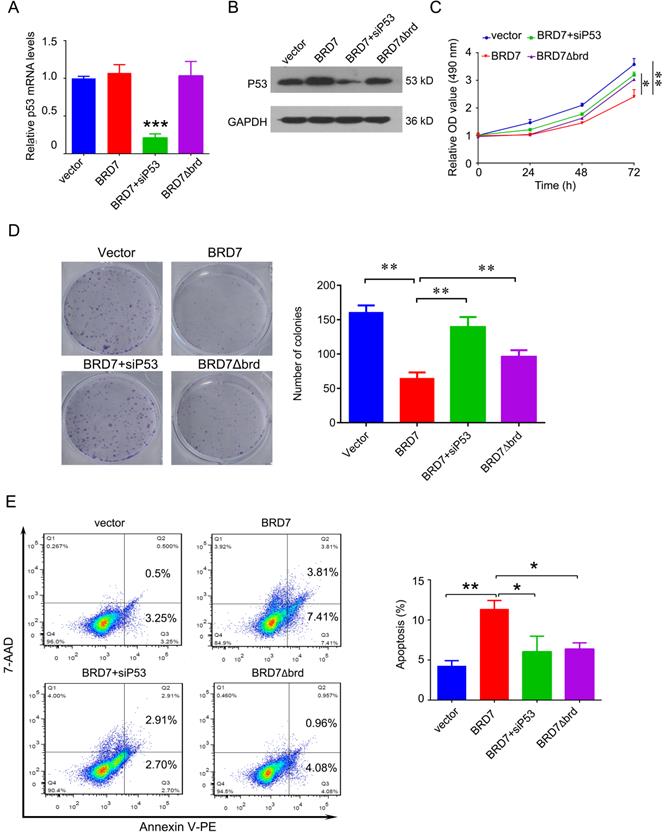 J Cancer Image