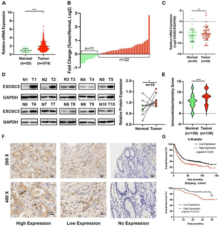 J Cancer Image