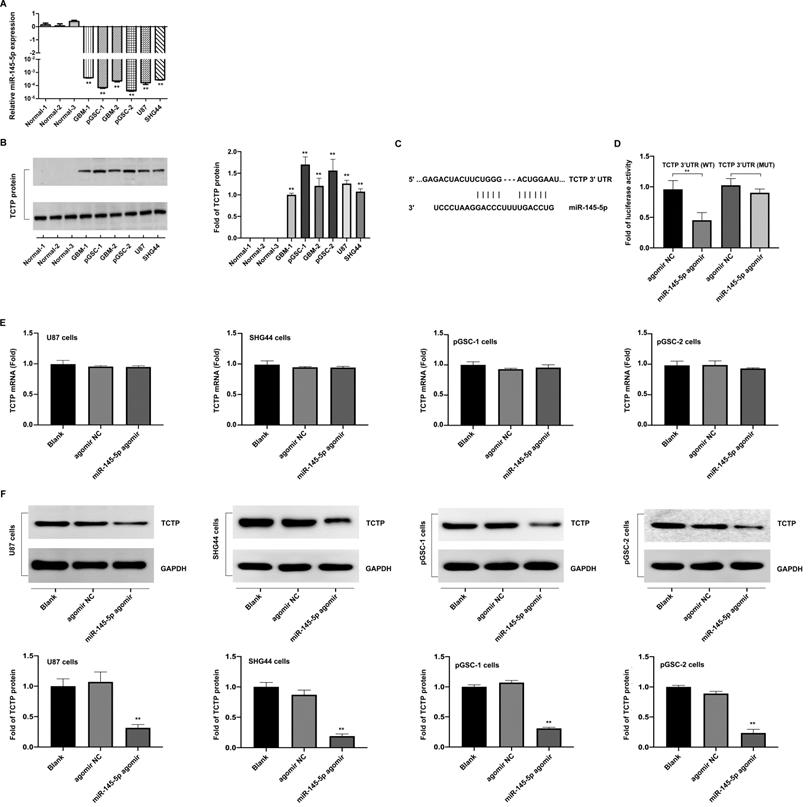 J Cancer Image