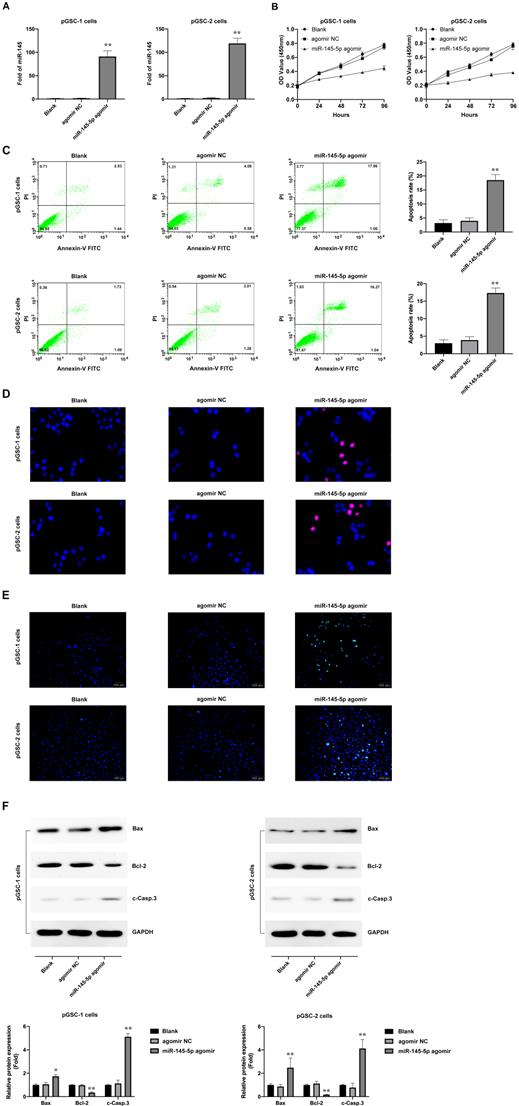 J Cancer Image