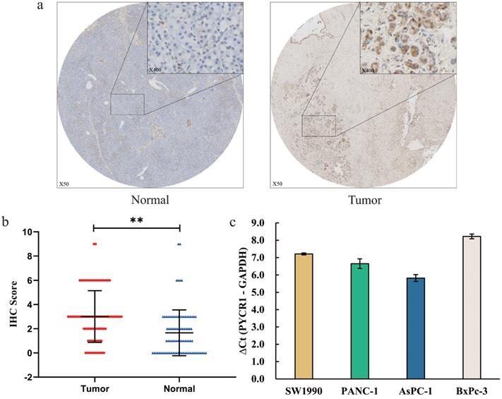 J Cancer Image