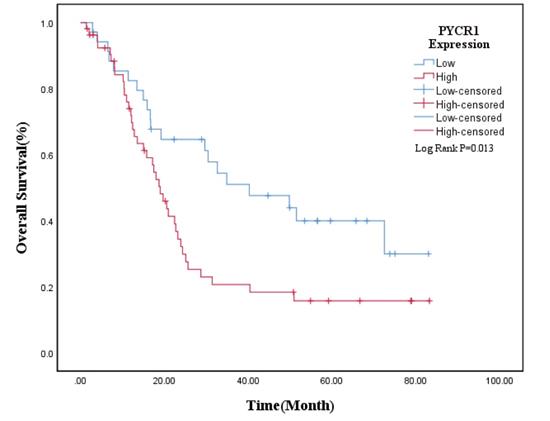 J Cancer Image