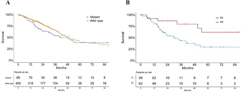 J Cancer Image