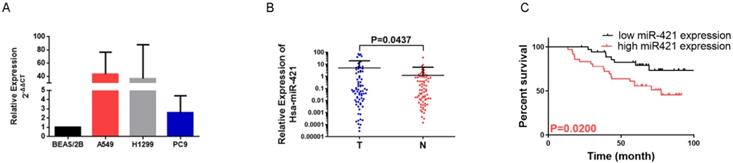 J Cancer Image