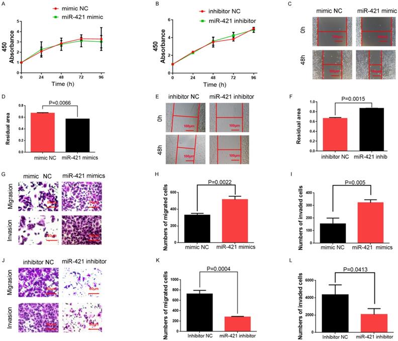 J Cancer Image