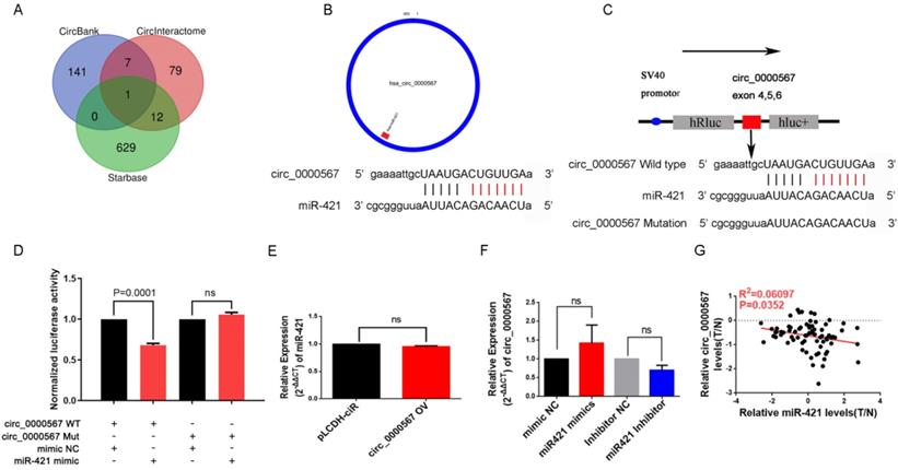 J Cancer Image