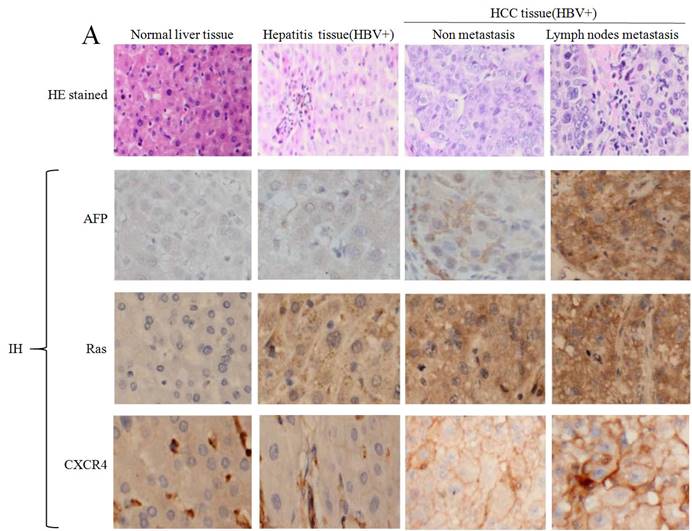 J Cancer Image