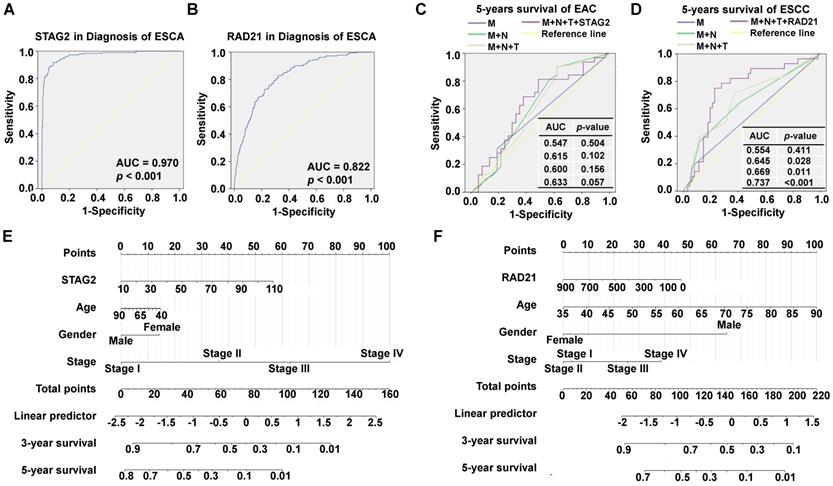 J Cancer Image