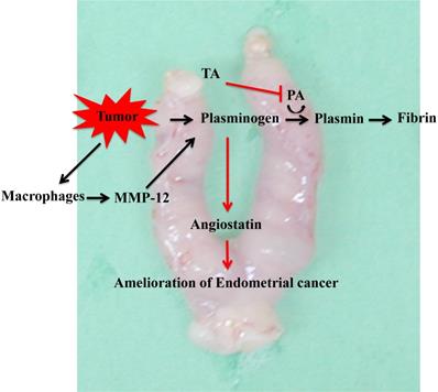 J Cancer Image