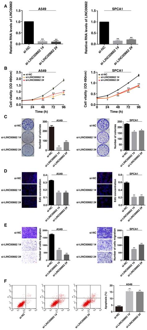 J Cancer Image