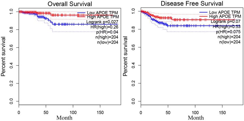 J Cancer Image