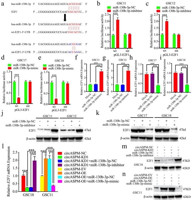 J Cancer Image