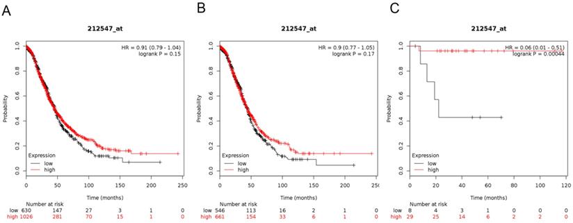 J Cancer Image