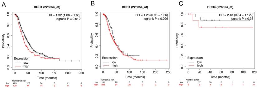 J Cancer Image