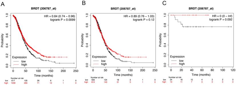 J Cancer Image