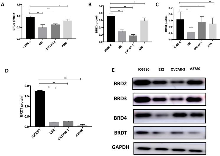 J Cancer Image