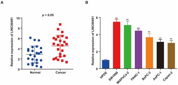 J Cancer Image