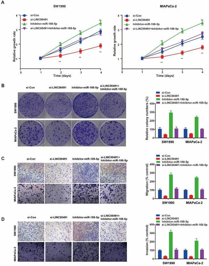 J Cancer Image