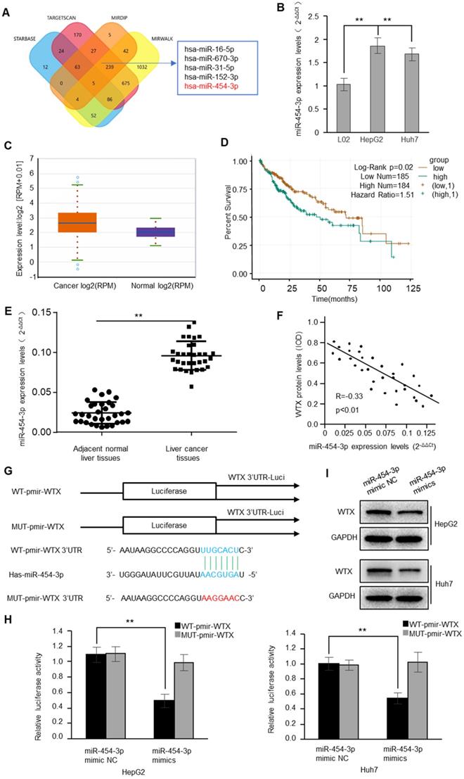 J Cancer Image