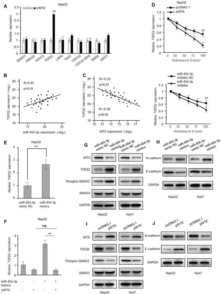 J Cancer Image