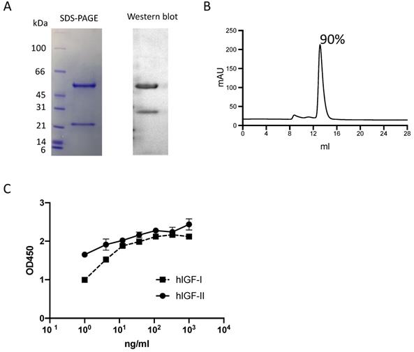 J Cancer Image