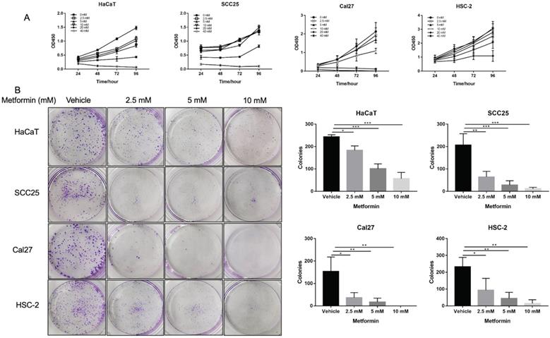 J Cancer Image