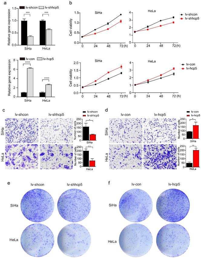 J Cancer Image