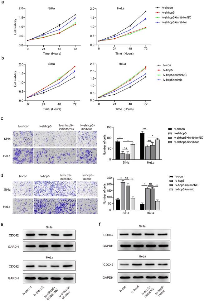 J Cancer Image