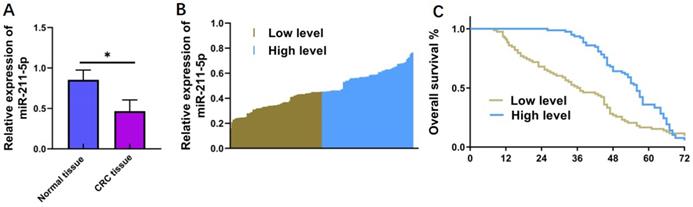 J Cancer Image