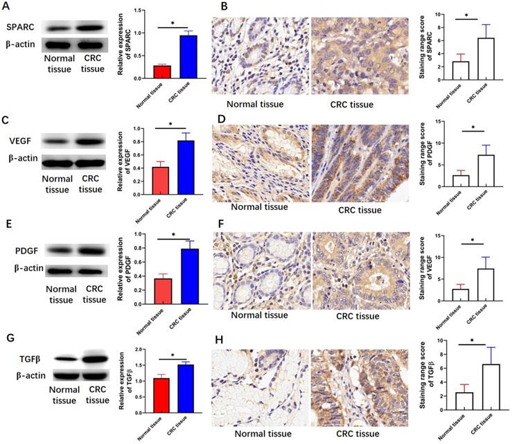 J Cancer Image