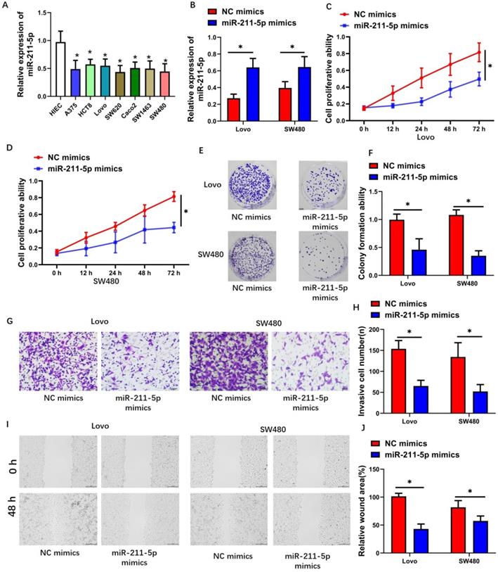 J Cancer Image