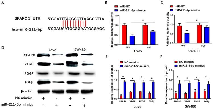 J Cancer Image