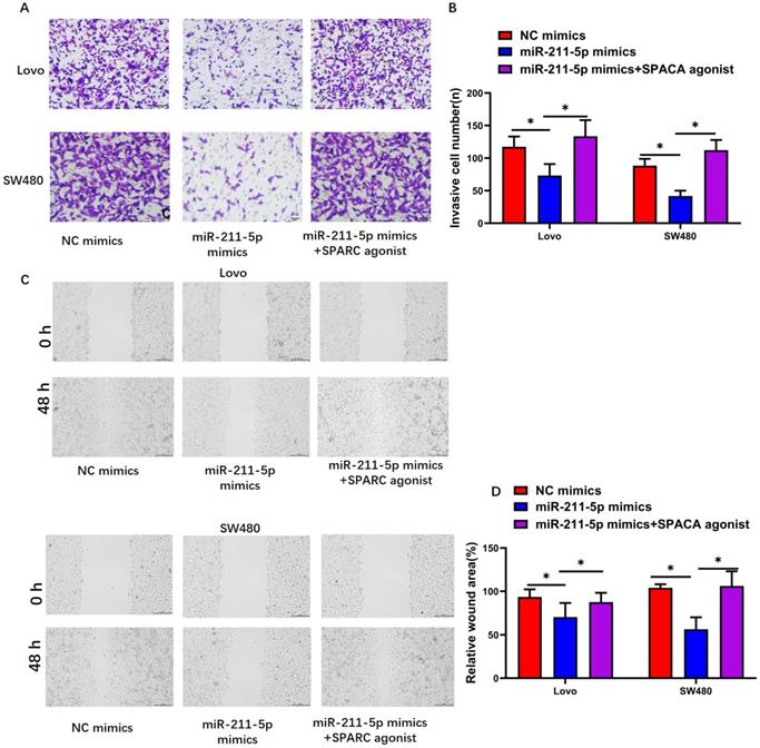 J Cancer Image