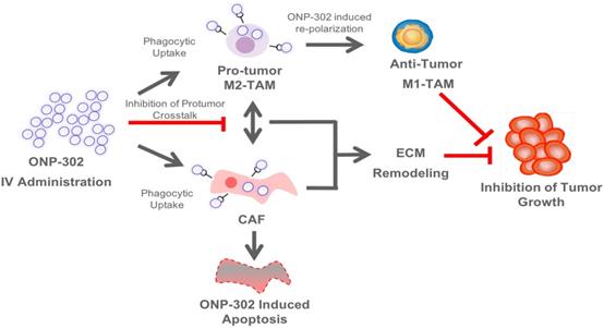 J Cancer Image