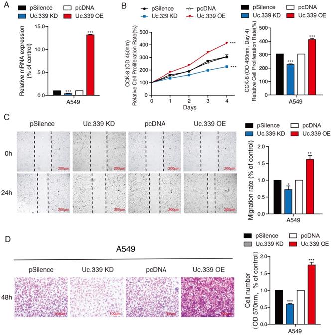 J Cancer Image