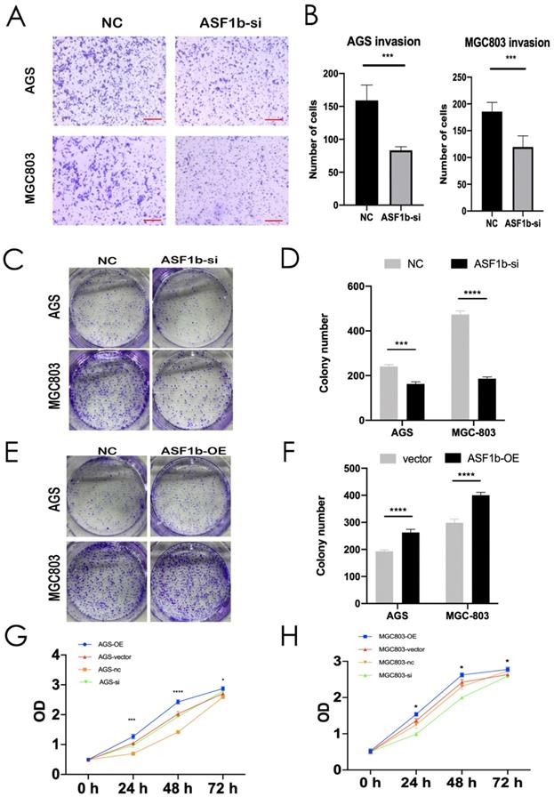 J Cancer Image