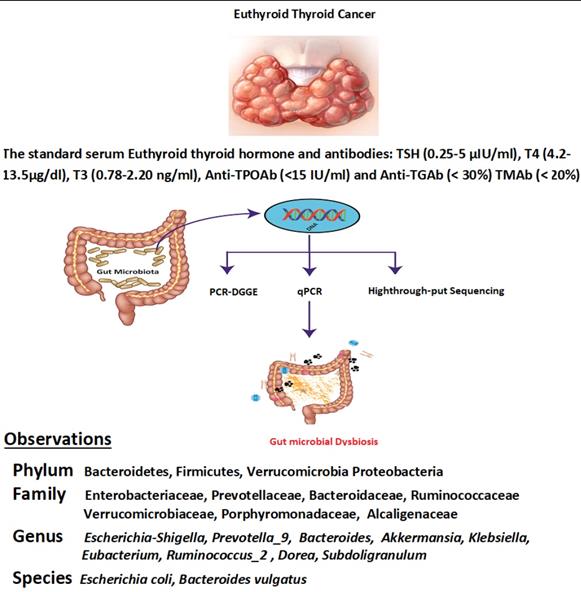 J Cancer Image