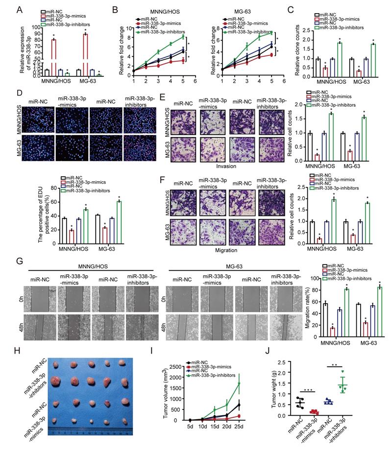 J Cancer Image