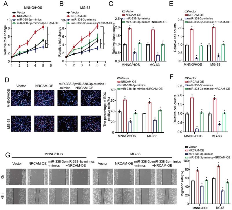 J Cancer Image