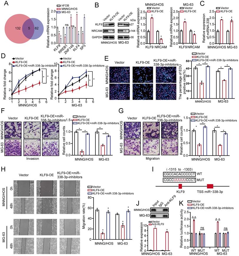 J Cancer Image