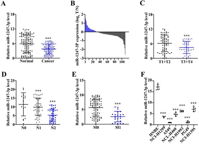 J Cancer Image