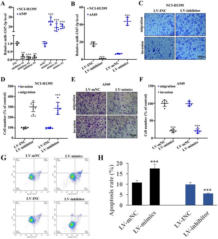 J Cancer Image