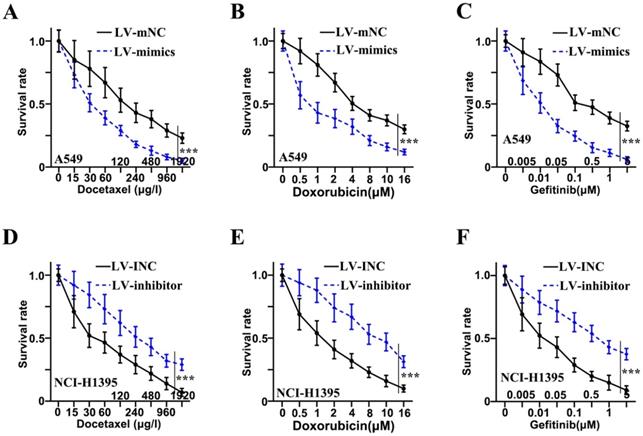 J Cancer Image