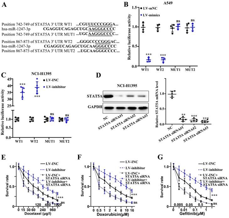 J Cancer Image