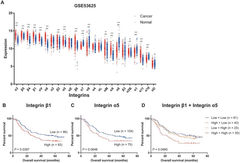 J Cancer Image